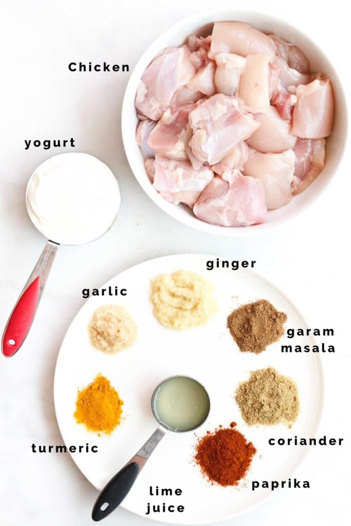 Top Down View of the Ingredients Needed to Make Chicken Tikka Kebabs