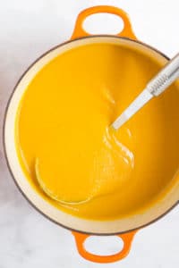 Butternut Squash and Apple Soup Pureed in Pan
