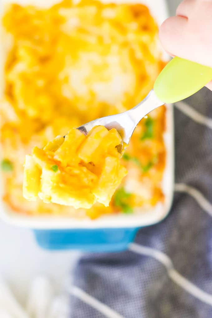 Spoon of Butternut Squash mac and Cheese Shown to the Camera