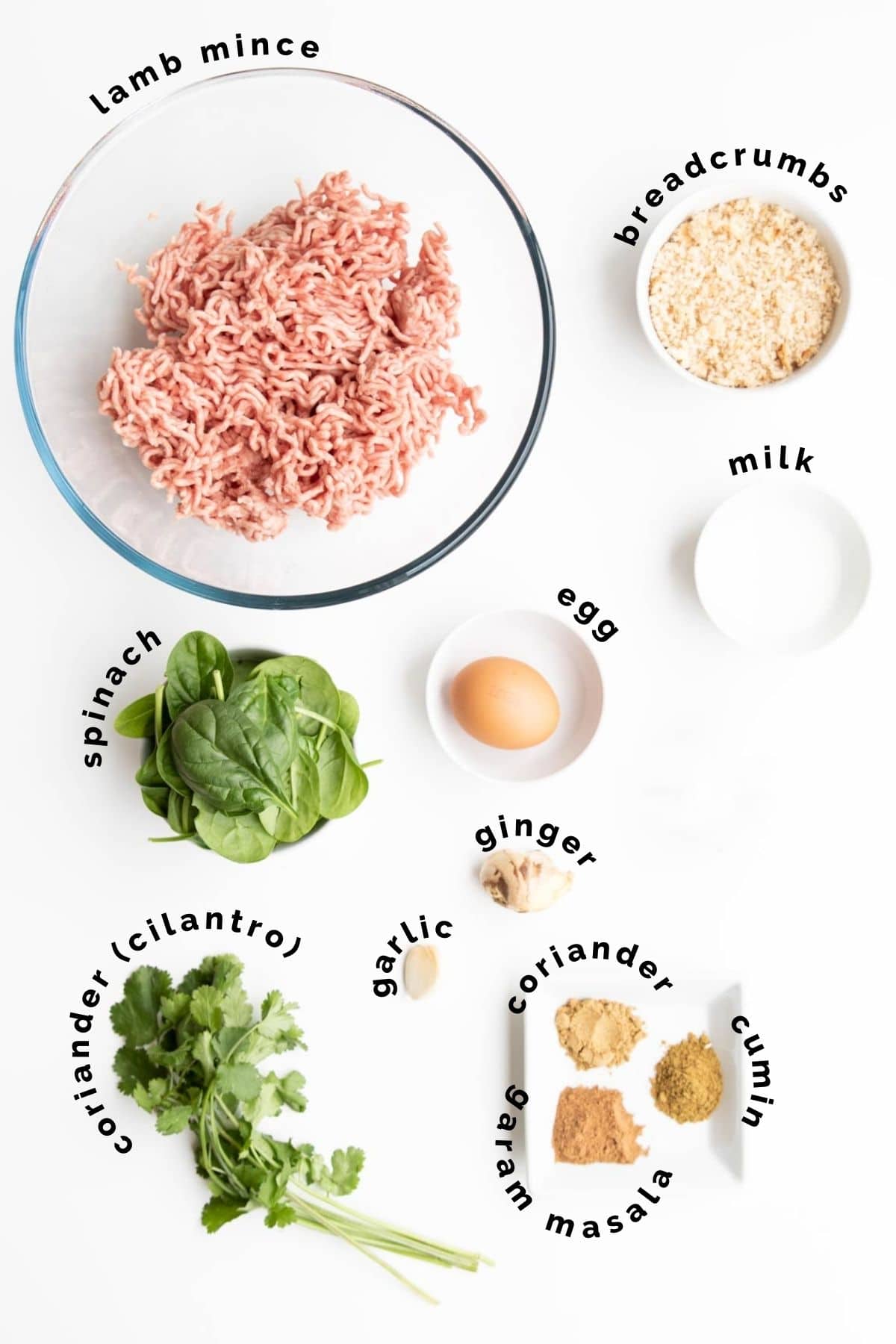Flat Lay of Ingredients for Spiced Meatballs (Labelled).