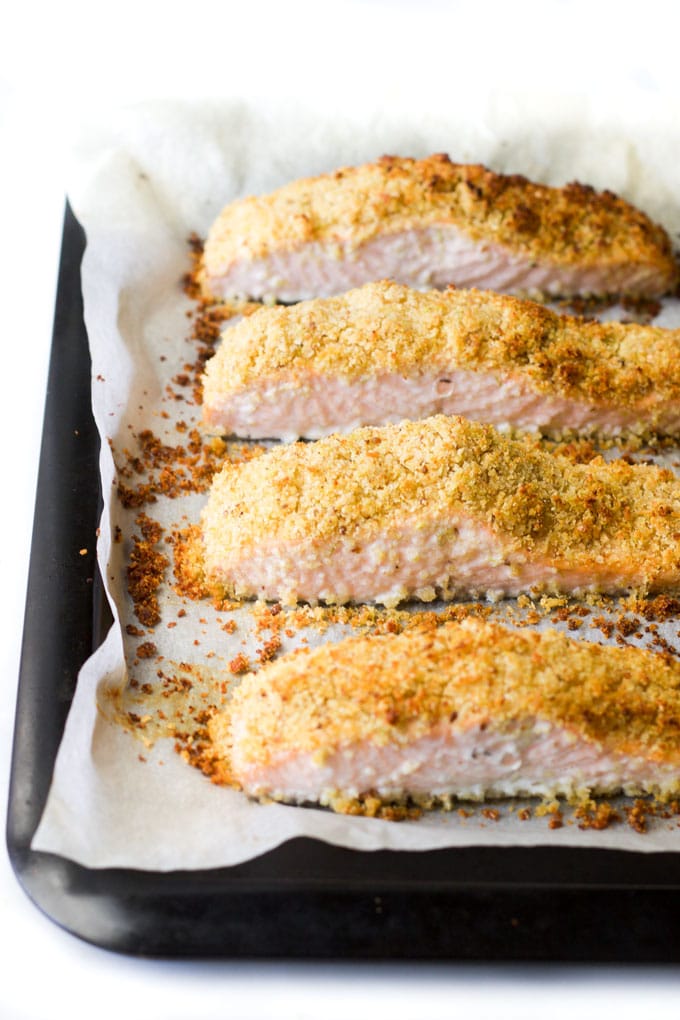 Freshly cooked parmesan crusted salmon fillets on baking tray 