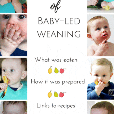 One month of baby-led weaning. What was eaten, how it was prepared and links to recipes