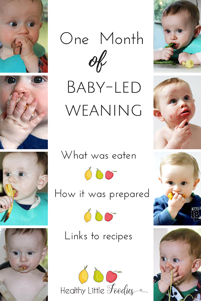 Baby-led weaning (blw) - food inspiration for the first month
