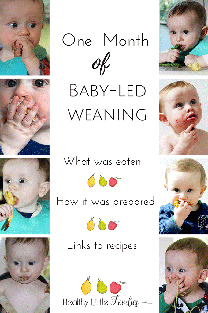 Baby Led Weaning Food Size Chart