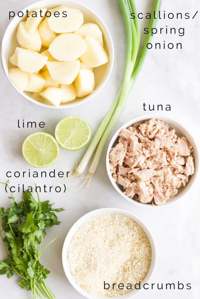 Flat Lay Shot of the Ingredients Needed to Make Tuna Fish Cakes