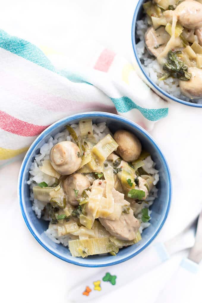 Top Down View of Pork and Creamy Apple Sauce in Kids Bowl