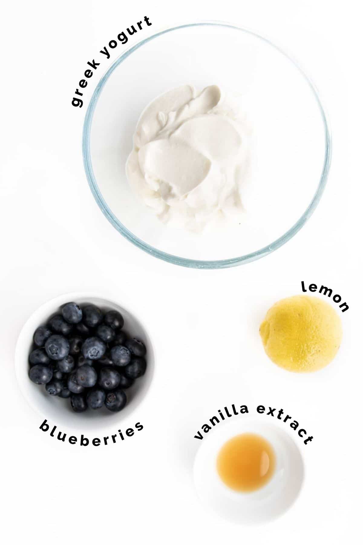 Flat Lay of Ingredients Needed to Make Blueberry Yogurt (Labelled)