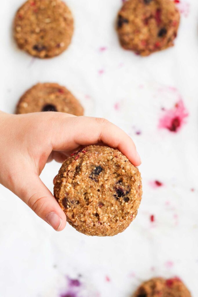 Top Down View of Child's Hand Holding Chickpea Cookie