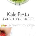 kale pesto. Great as a dip, spread or as a pasta sauce for kids. Easy, 5 min sauce. #kidsfood #kidfood #healthykidsfood #dairyfree