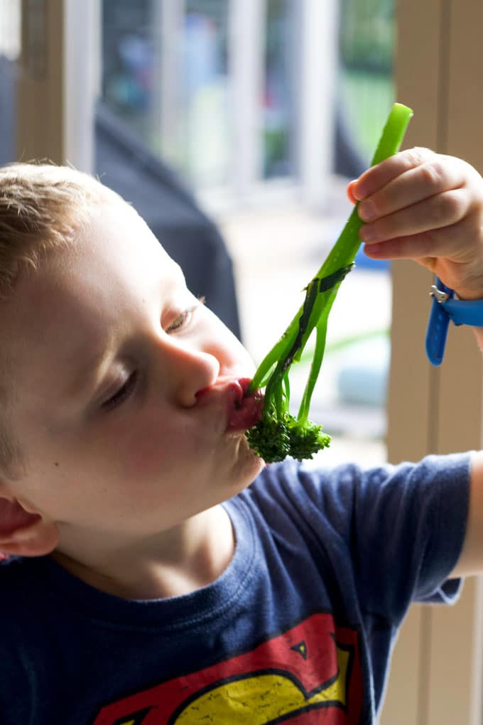 Child Eating Broccolini