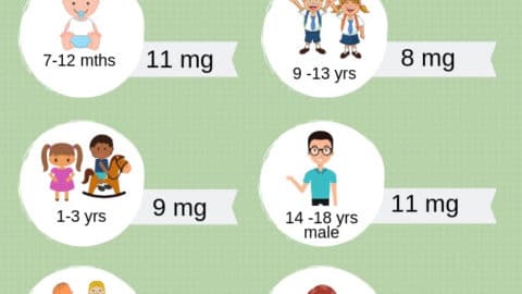 Info-graph Showing How Much Iron Child Needs Per Day by Age