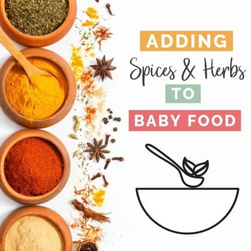 Picture of Spices with Baby Bowl with Title Adding Spices and Herbs to Baby Food