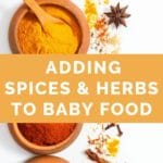 Adding Spices and Herbs to Baby Food - Healthy Little Foodies