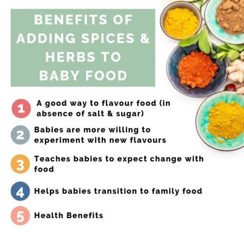 Picture of Adding Spices and Herbs to Baby Food - Healthy Little Foodies