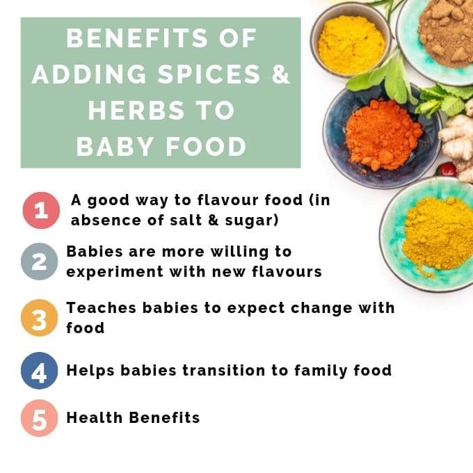 https://www.healthylittlefoodies.com/wp-content/uploads/2019/09/Benefits-of-Adding-Spices-Herbs-to-Baby-Food.jpg