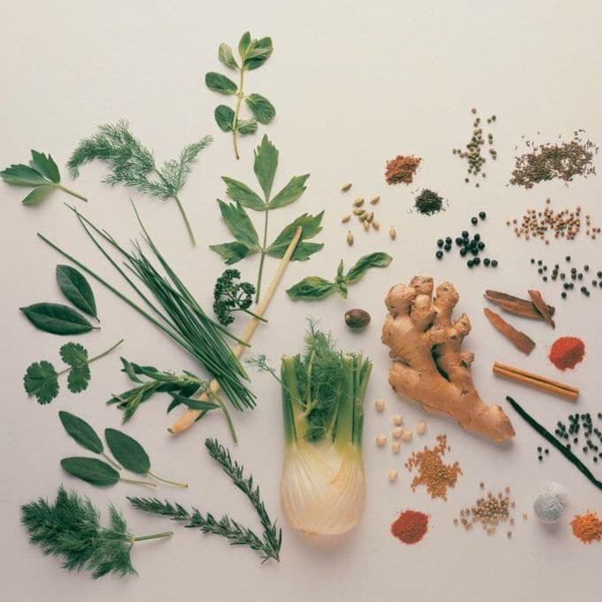 Top Down Picture of a Range of Herbs and Spices