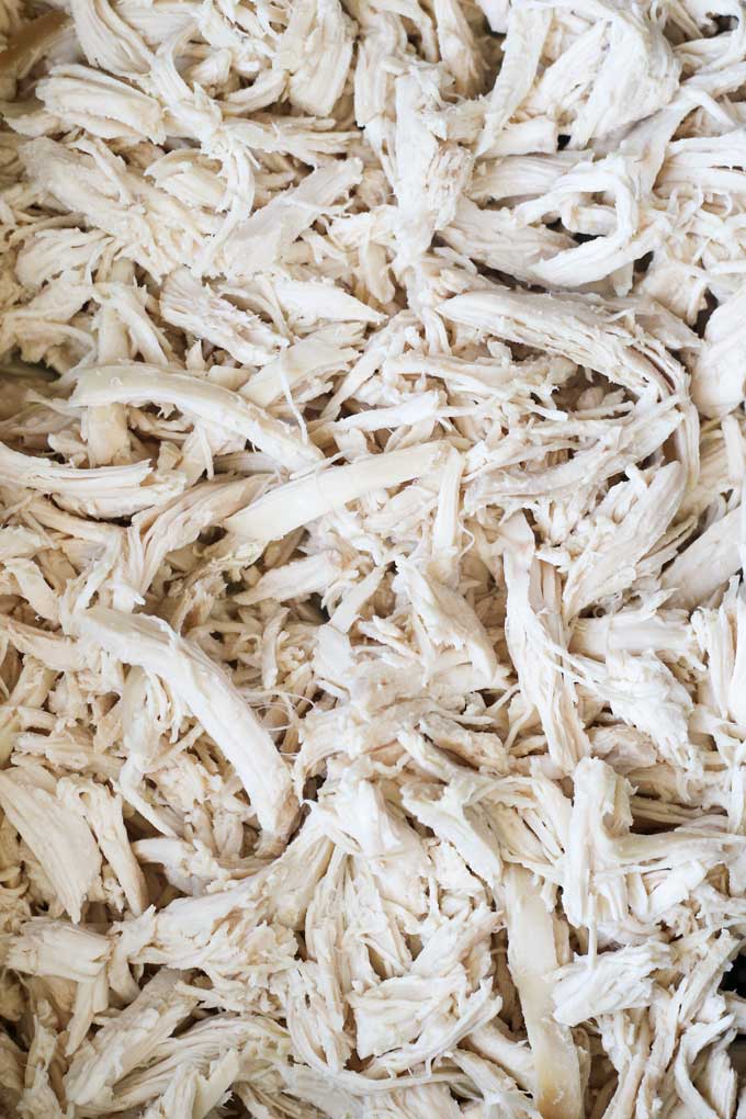 Close Up Shot of Shredded Chicken