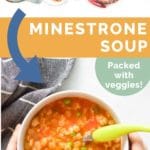 Minestrone Soup Long Pin