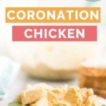 Coronation Chicken Pin 3