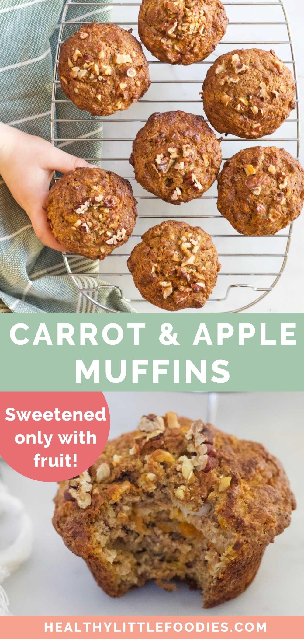 Carrot and Apple Muffins Healthy Little Foodies
