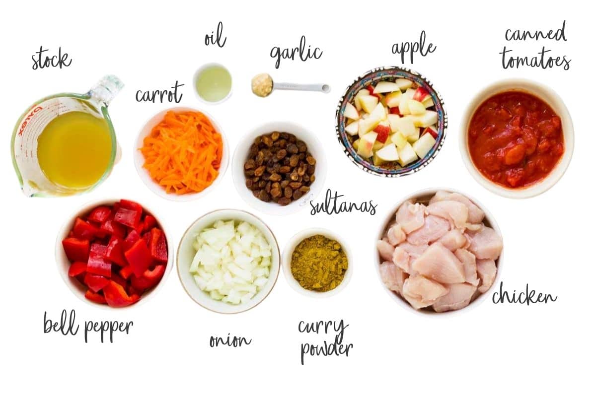 Top Down View of Ingredients Needed for Fruity Chicken Curry