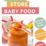 Pinterest Pin with Text How to Safely Store Baby Food