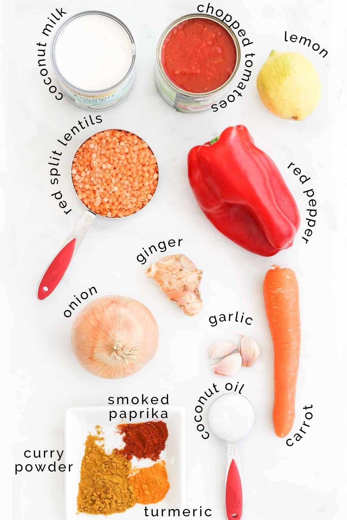 Flat Lay of Ingredients Needed