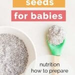 Chia Seed For Babies Pinterest Pin