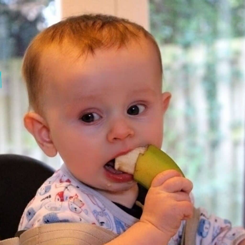 Baby Sitting in High Chair Eating a Banana
