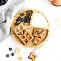 Baby Friendly Banana and Blueberry Waffles on Baby Plate Served With Yogurt and Smashed Blueberries.