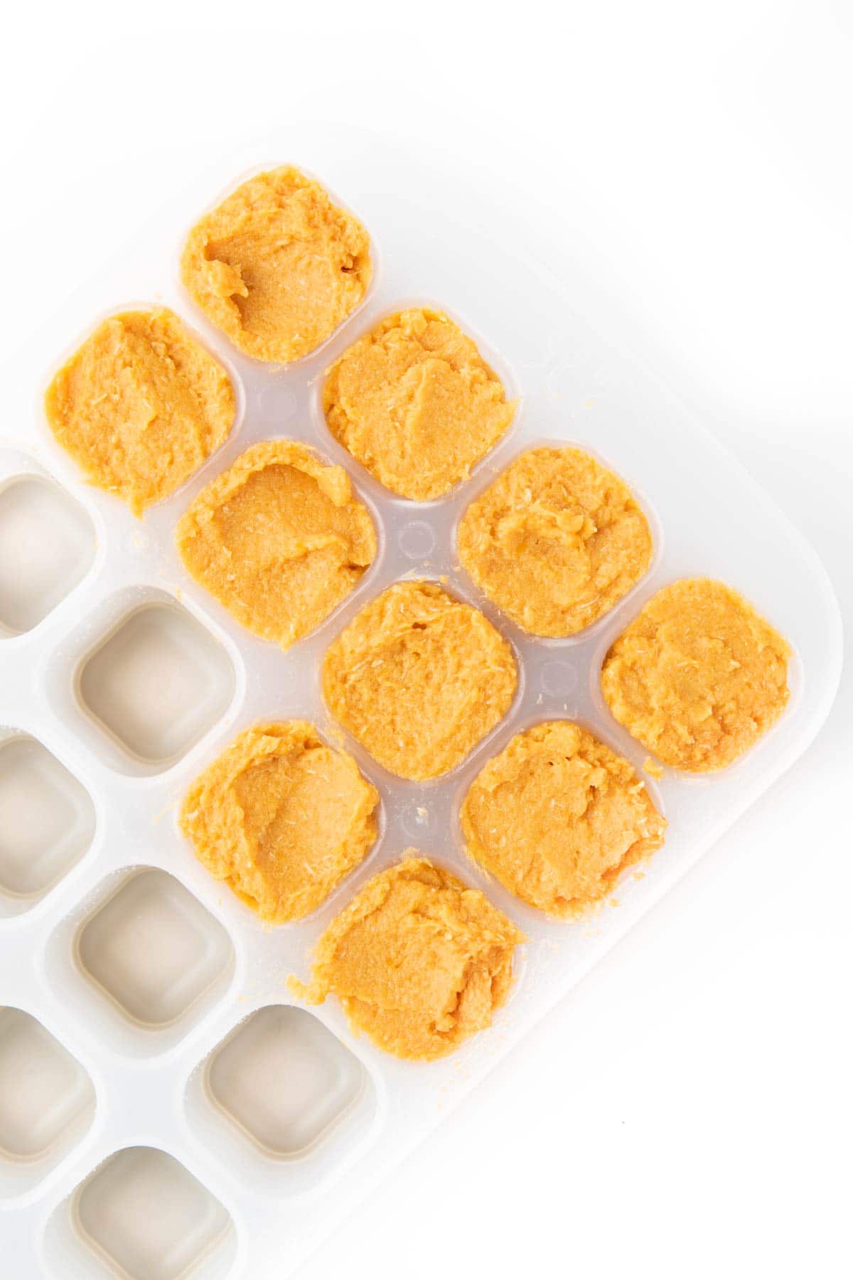 Ice Cube Tray Half Filled with Chicken Puree