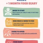 Pinterest PIn Baby Led Weaning Guide