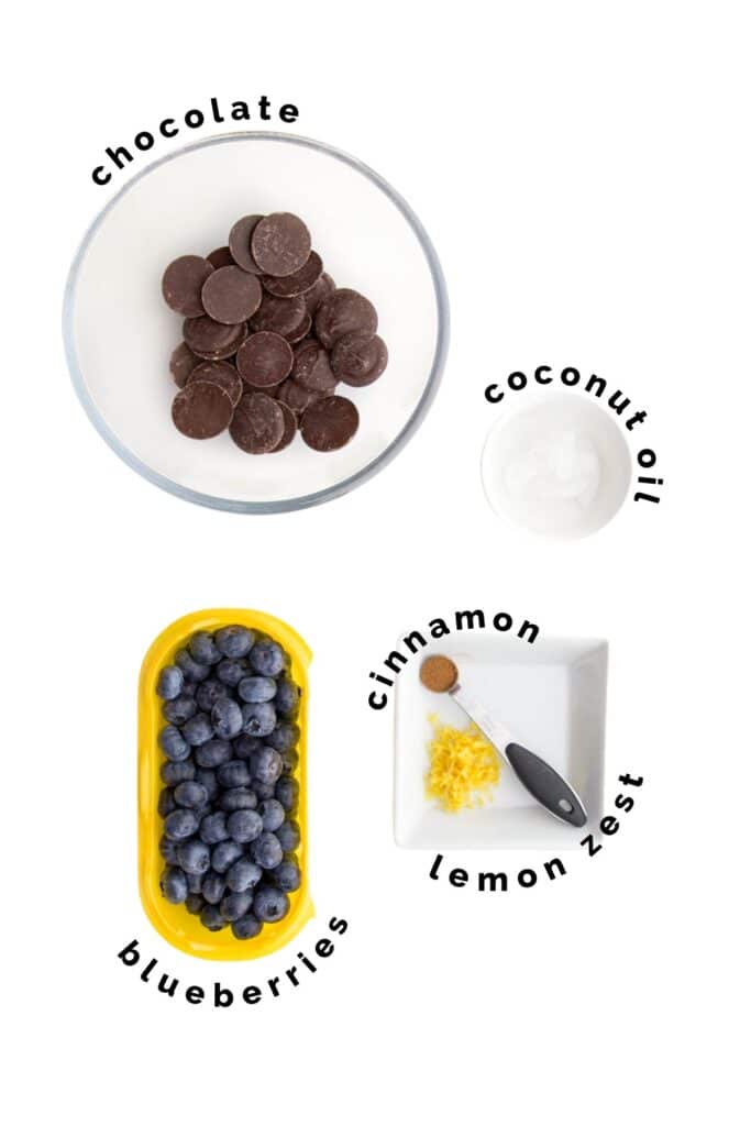 Flat Lay of Ingredients Needed to Make Chocolate Covered Blueberries