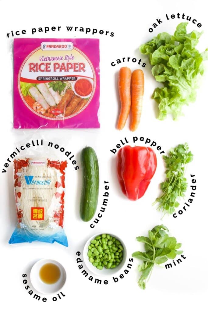 Flat Lay of Ingredients Needed to Make Vegetable Rice Paper Rolls