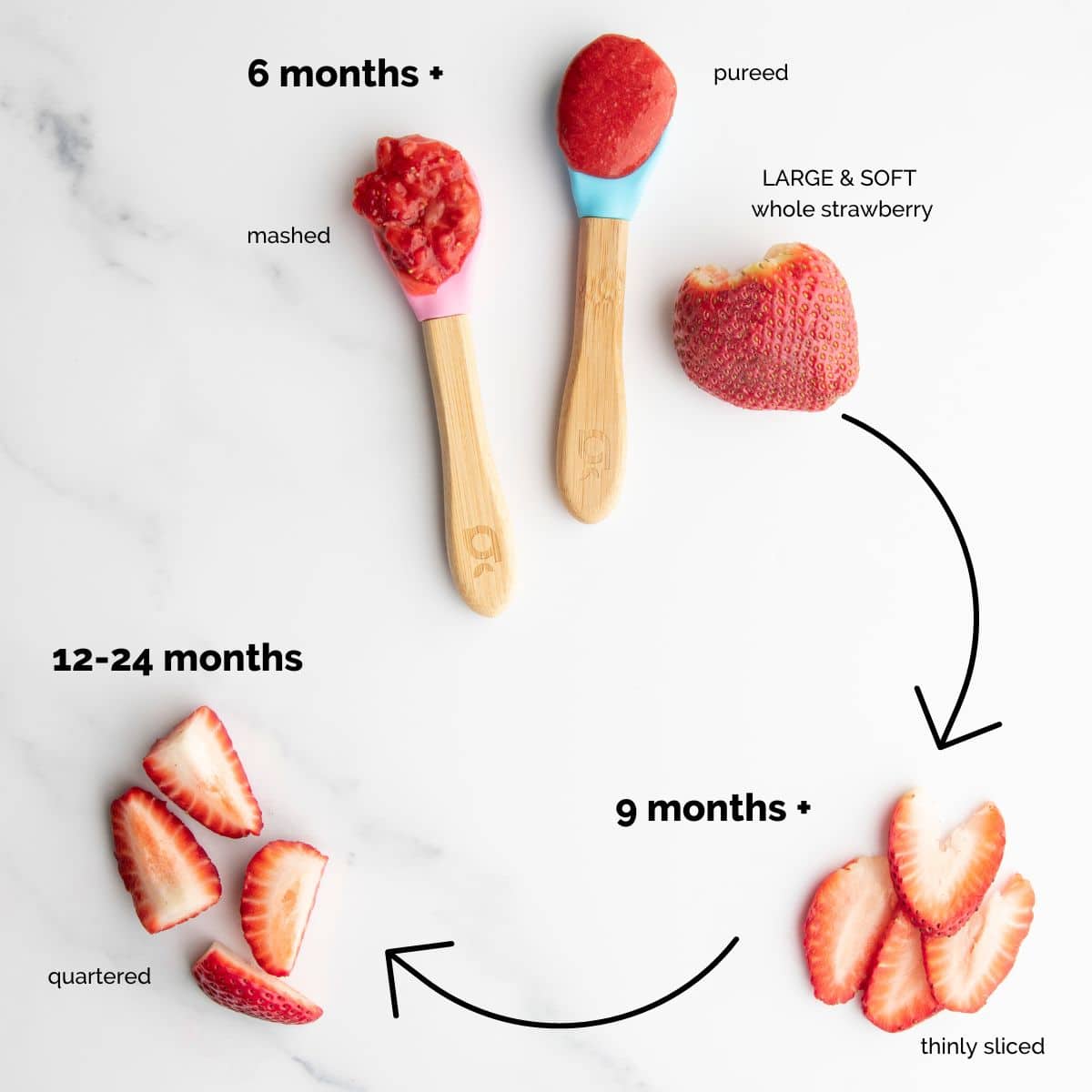 Baby Led Weaning Essentials - Tried & True Creative