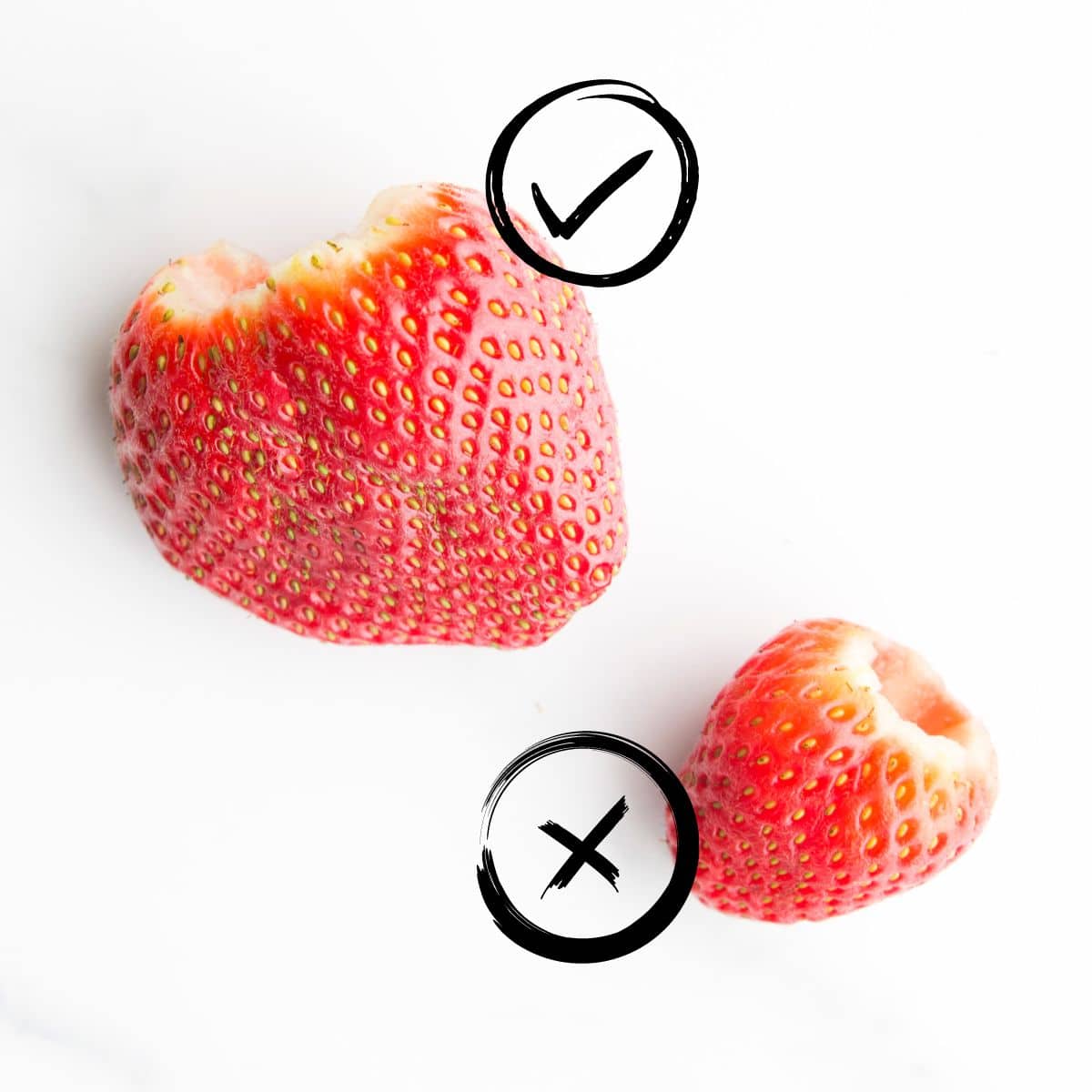Image of a Large Strawberry with a Tick Next to It and a Small Strawberry with a Cross Next to It. 